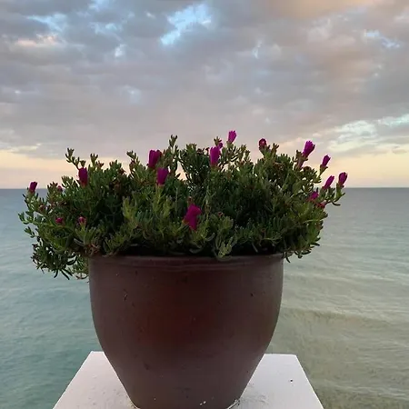 Amazing Frontline Sea Views Castillo Del Vigia